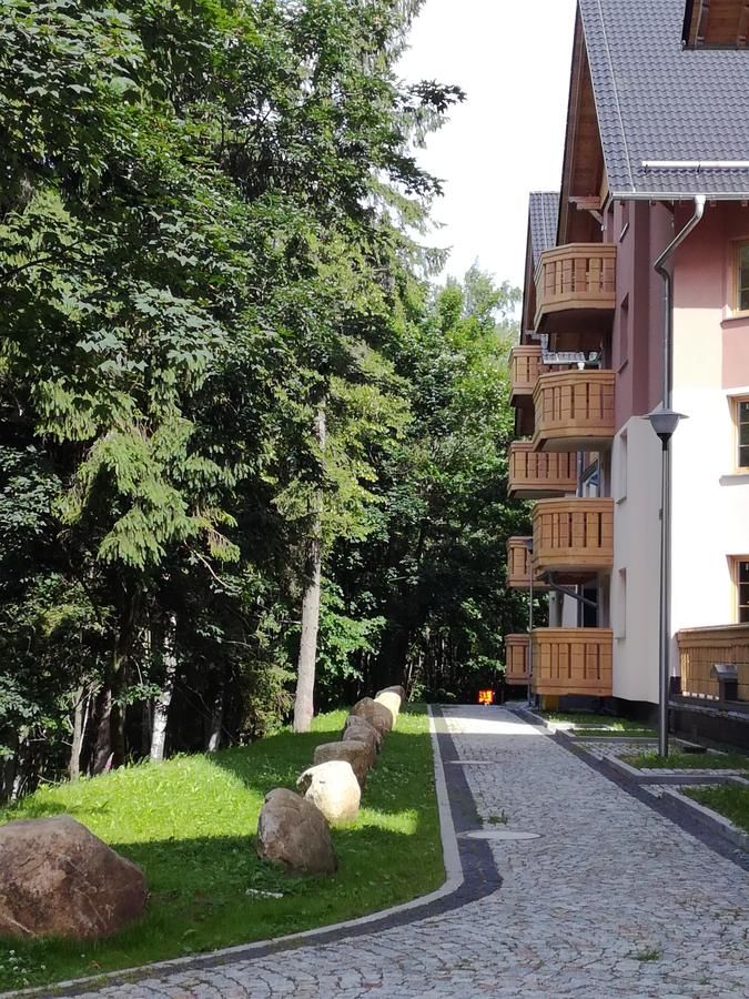 Апартаменты Apartament Podgórze 21 Шклярска-Поремба-12